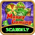 3cardfly Turbo v4.0.7