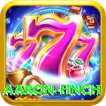 aaron finch Pro Edition v2.3.3
