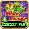 all cricket Live Casino Prime