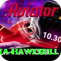 antigua hawksbill Gold Pro v5.8.2