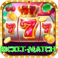 bangladesh cricket match Deluxe v3.9.1