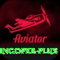 bingopkr Pro1 v1.2.4