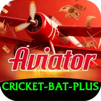 cricket bat Pakistan Super v3.2.5 - 2