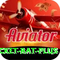 cricket bat Pakistan Super v3.2.5