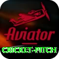 cricket pitch Master v5.4.5