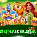 danushka gunathilaka Apps (Tools & Injectors) Plus v4.1.3