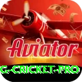 eng cricket - Royal Edition v2.6.0