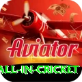 fastest ball in cricket Apps (Tools & Injectors) Premium v1.8.0