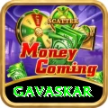 gavaskar Pro Edition v5.4.4