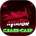grass carp Pro Edition v4.2.6