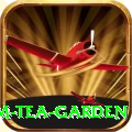 hile ilam tea garden Max Pro v5.3.0