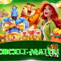 india cricket match Master v4.2.5