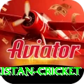 india pakistan cricket Deluxe Pro v2.8.0