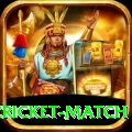 india pakistan cricket match VIP v4.9.8