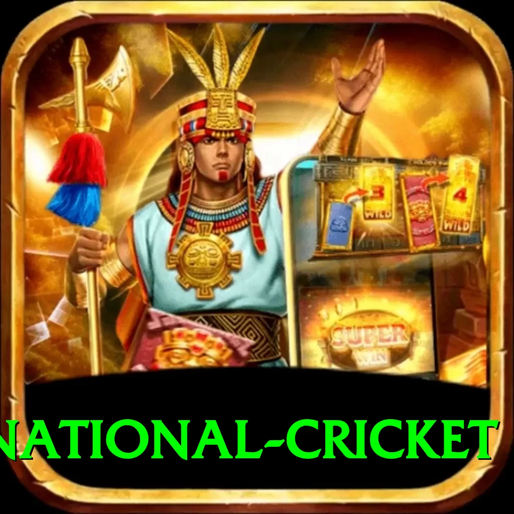 international cricket Master Pro v1.1.3 - 2