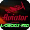 international cricket Game Mega v2.0.8