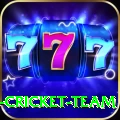 ireland cricket team Games (Casino & Earning) Deluxe v2.0.6