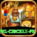 make money betting cricket pk Apps (Tools & Injectors) Turbo v2.2.8