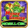mobile cric Turbo Pro v3.6.9