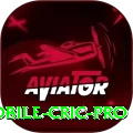 mobile cric Slots Pro v3.9.5