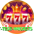 most test wickets Deluxe Edition v1.0.7