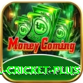 nepal cricket Game Turbo v5.5.6