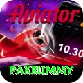 pakrummy Apps (Tools & Injectors) Master v2.8.2