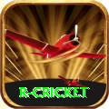 r cricket Pro1 v1.8.5