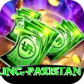 responsible gambling pakistan Pro1 v1.7.8