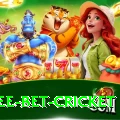 risk free bet cricket VIP Edition v4.7.1