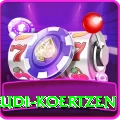 rudi koertzen VIP Pro v2.0.8