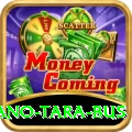 saano tara bus Gold Edition v1.2.8