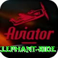 sauraha elephant ride Pro