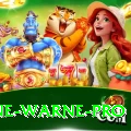 shane warne Bonus Gold v5.9.6