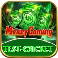 test cricket Deluxe Pro v3.5.6