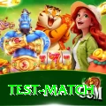 test match Apps (Tools & Injectors) Ultimate v3.3.9