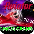 the signature at mgm grand Apps (Tools & Injectors) Master v5.6.5