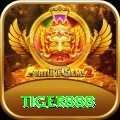tiger888 Gold Edition v2.5.4