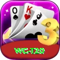 wc t20 Pro1 v2.1.2