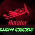 willow cricket Apps (Tools & Injectors) Pro v1.4.8