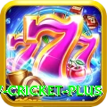 willow cricket - Casino Pro