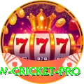 willow cricket - Casino Supreme